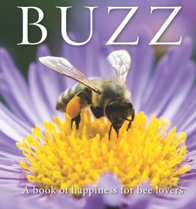 Cover for Adam Langstroth · Buzz: A book of happiness for bee lovers (Paperback Book) (2023)