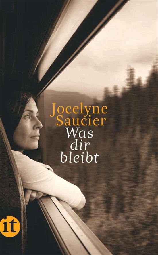 Cover for Jocelyne Saucier · Was dir bleibt (Taschenbuch) (2021)