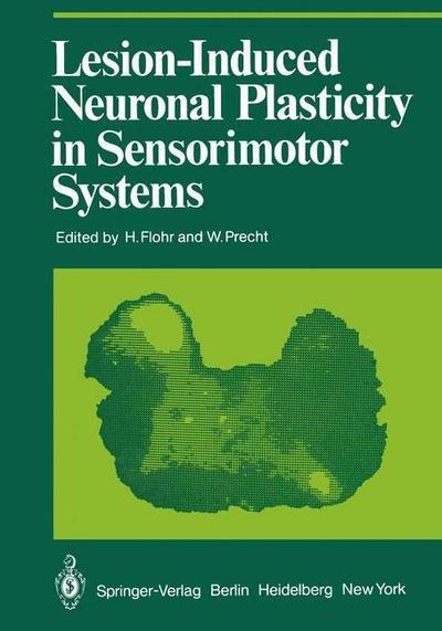 Cover for H Flohr · Lesion-Induced Neuronal Plasticity in Sensorimotor Systems - Proceedings in Life Sciences (Paperback Bog) [Softcover reprint of the original 1st ed. 1981 edition] (2011)