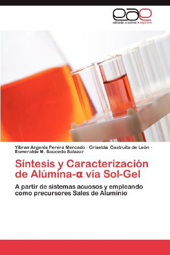 Cover for Esmeralda M. Saucedo Salazar · Síntesis Y Caracterización De Alúmina- Vía Sol-gel: a Partir De Sistemas Acuosos Y Empleando Como Precursores Sales De Aluminio (Paperback Book) [Spanish edition] (2012)
