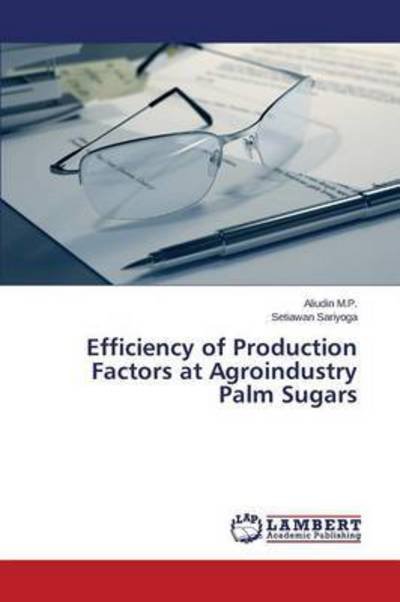 Cover for M P Aliudin · Efficiency of Production Factors at Agroindustry Palm Sugars (Paperback Book) (2015)