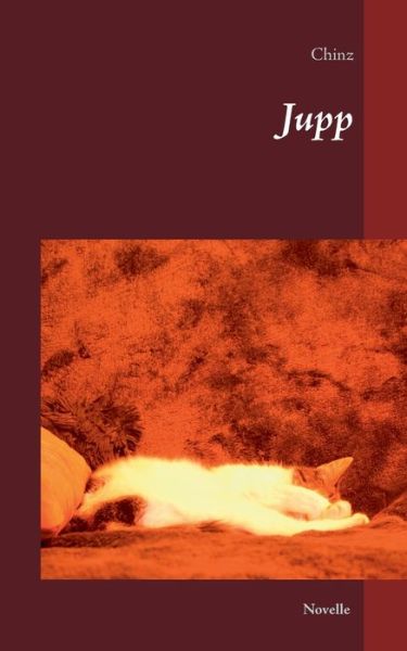 Cover for Chinz · Jupp (Buch) (2017)