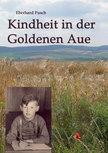 Cover for Pusch · Kindheit in der Goldenen Aue (Book) (2017)
