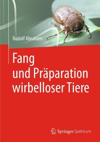 Cover for Rudolf Abraham · Fang Und Praparation Wirbelloser Tiere (Pocketbok) [1999. Unverand. Nachdruck edition] (2012)