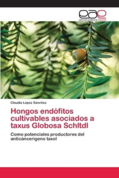 Cover for Sánchez · Hongos endófitos cultivables as (Buch) (2018)