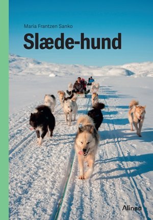 Cover for Maria Frantzen Sanko · Fagklub: Slædehund, Grøn Fagklub (Bound Book) [1er édition] (2024)