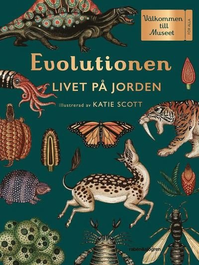 Cover for Ruth Symons · Evolutionen : livet på jorden (Indbundet Bog) (2018)