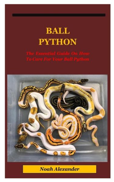 Ball Python - Noah Alexander - Books - Independently Published - 9798567097762 - November 19, 2020