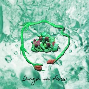 Cover for Wombo · Danger In Fives (CD) (2025)