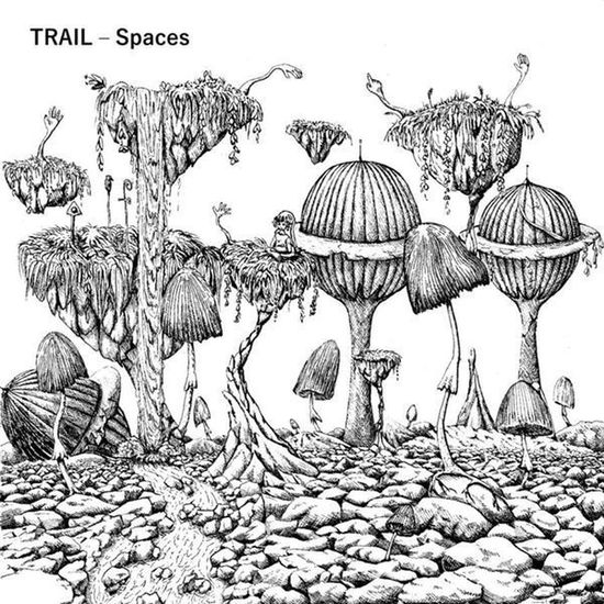 Cover for Trail · Spaces (black) (LP) (2018)