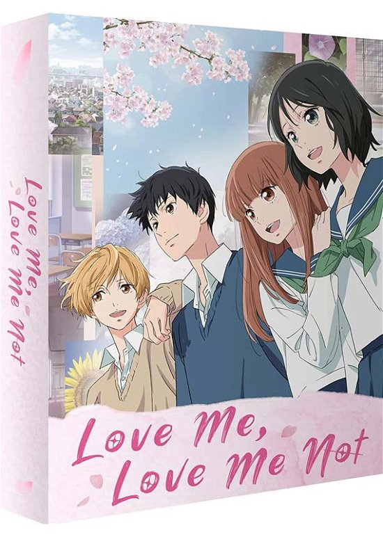 Love Me Love Me Not Collectors Limited Edit · Love Me Love Me Not Collectors Limited Edition (Blu-Ray) [Limited Collectors edition] (2023)