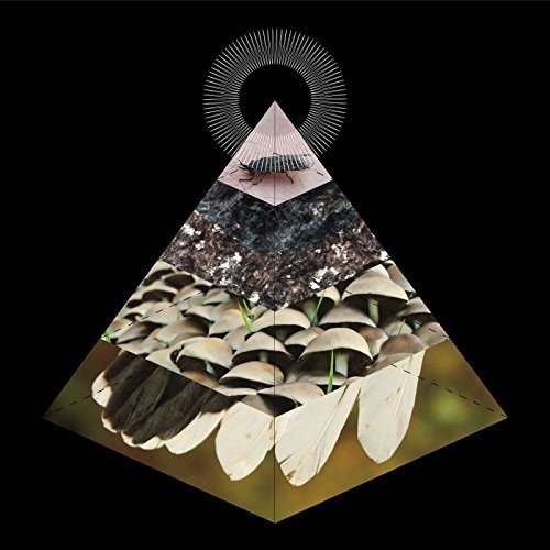 Cover for Belus · Apophenia (CD) (2018)