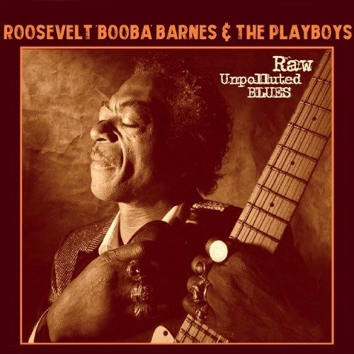 Cover for Roosevelt 'Booba' Barnes &amp; Playboys · Raw Unpolluted Blues (CD) (2024)