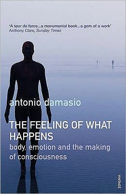 Cover for Antonio Damasio · The Feeling Of What Happens (Paperback Bog) (2000)