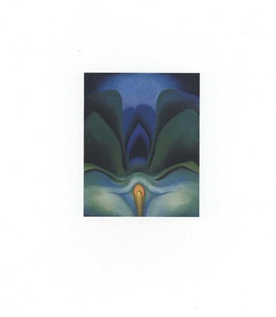 Cover for Barbara Buhler Lynes · Georgia O`Keeffe: Catalogue Raisonne (Gebundenes Buch) (1999)