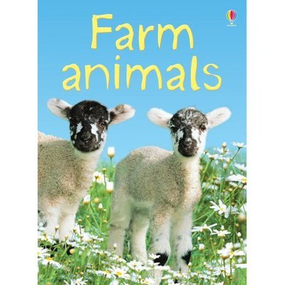 Farm Animals - Beginners - Katie Daynes - Books - Usborne Publishing Ltd - 9780746074763 - January 26, 2007