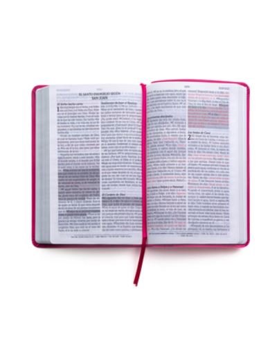 Santa Biblia de Promesas Reina Valera 1960 Tamano Manual Letra Grande Rosada - Unilit - Livros - UNILIT - 9780789925763 - 15 de janeiro de 2022