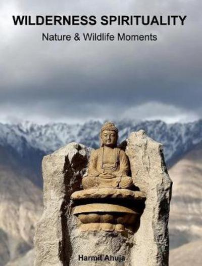 Cover for Harmit Ahuja · Wilderness Spirituality (Hardcover Book) (2017)