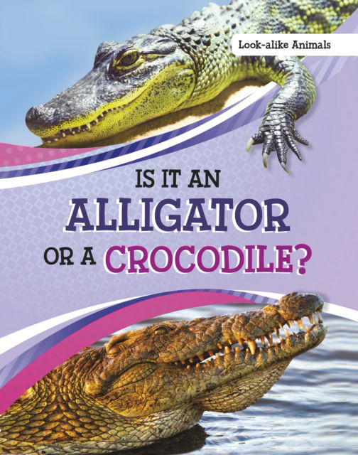 Cover for Susan B. Katz · Is It an Alligator or a Crocodile? - Look-Alike Animals (Paperback Book) (2023)