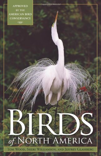 Cover for Tom Wood · Birds of North America (Pocketbok) (2011)