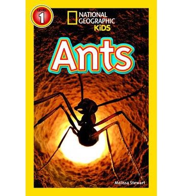 Cover for Melissa Stewart · National Geographic Kids Readers: Ants - National Geographic Kids Readers: Level 1 (Paperback Book) (2013)