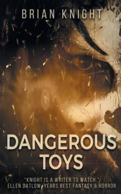 Dangerous Toys - Brian Knight - Books - Tulpa Books - 9781732241763 - 2019