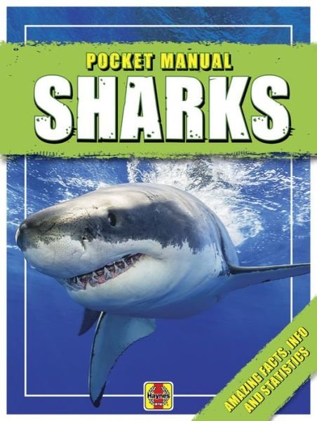 Cover for David Thompson · Sharks: Pocket Manual - Pocket Manuals (Pocketbok) (2019)