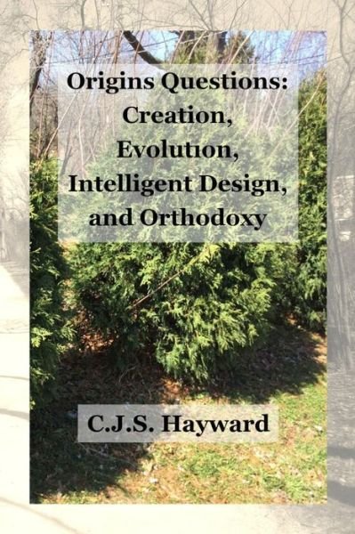 Cover for Cjs Hayward · Origins Questions (Pocketbok) (2018)