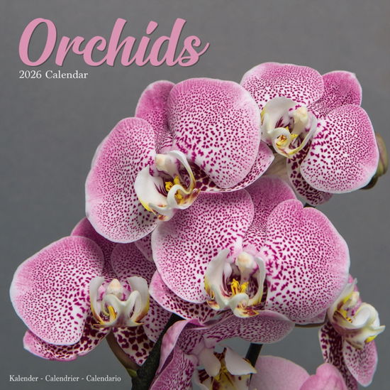 Cover for Orchids Calendar 2026  Square Flowers Wall Calendar - 16 Month (Calendar) (2025)