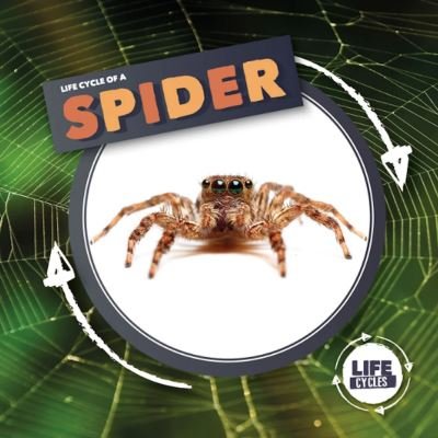 Life Cycle Of A Spider - Life Cycle of A... - Kirsty Holmes - Bücher - BookLife Publishing - 9781839274763 - 3. Mai 2021