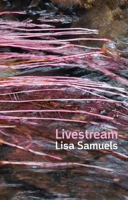 Cover for Lisa Samuels · Livestream (Book) (2023)