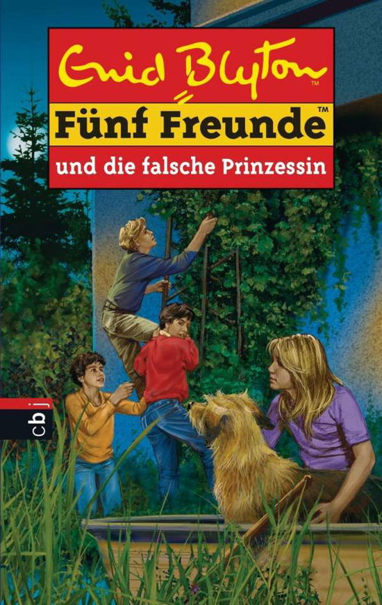 Cover for Enid Blyton · FÃ¼nf Fr.58 Falsche Prinzessin (Book)