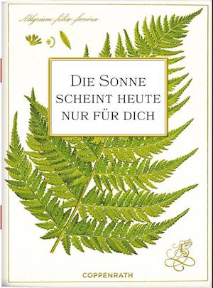 Cover for Coppenrath F · Die Sonne scheint heute nur für dich (Paperback Book) (2021)