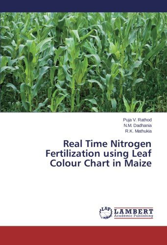 Cover for R.k. Mathukia · Real Time Nitrogen Fertilization Using Leaf Colour Chart in Maize (Paperback Book) (2014)