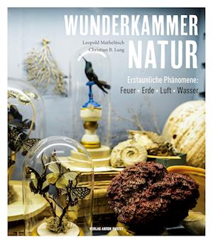 Cover for Leopold Mathelitsch · Wunderkammer Natur (Book) (2023)