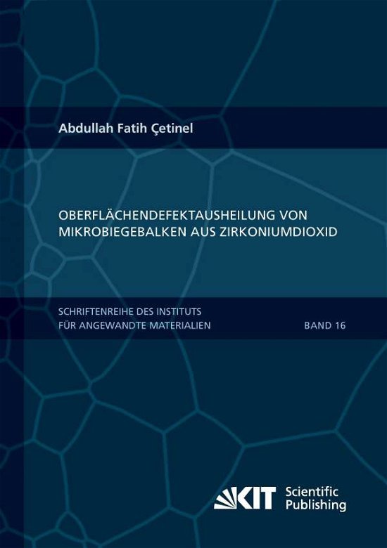 Oberflächendefektausheilung und - Cetinel - Bøger -  - 9783866449763 - 13. maj 2014