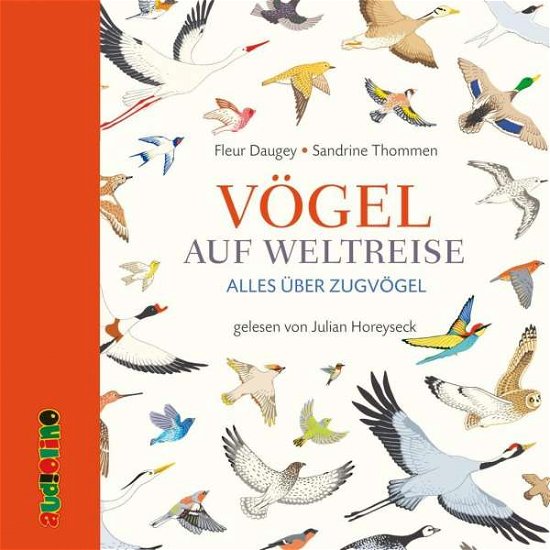 Cover for Daugey · Vögel auf Weltreise,CD (Bok) (2019)