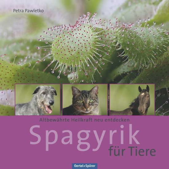 Cover for Pawletko · Spagyrik für Tiere (Book)