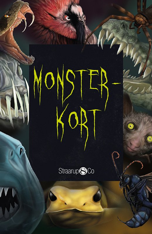 Cover for Line Renslebråten · Monsterkort (Hardcover Book) [1st edition] (2020)