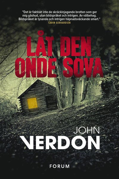 Cover for John Verdon · Dave Gurney: Låt den onde sova (ePUB) (2014)