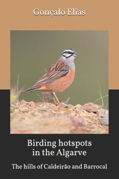 Birding hotspots in the Algarve - Goncalo Elias - Bücher - Independently Published - 9798643288763 - 10. Mai 2020