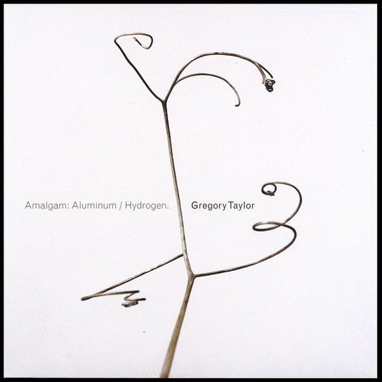 Cover for Gregory Taylor · Amalgam: Aluminum / Hydrogen (CD) (2007)