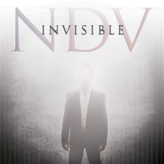 Cover for Nick Dvirgilio · Invisible (CD) (2020)