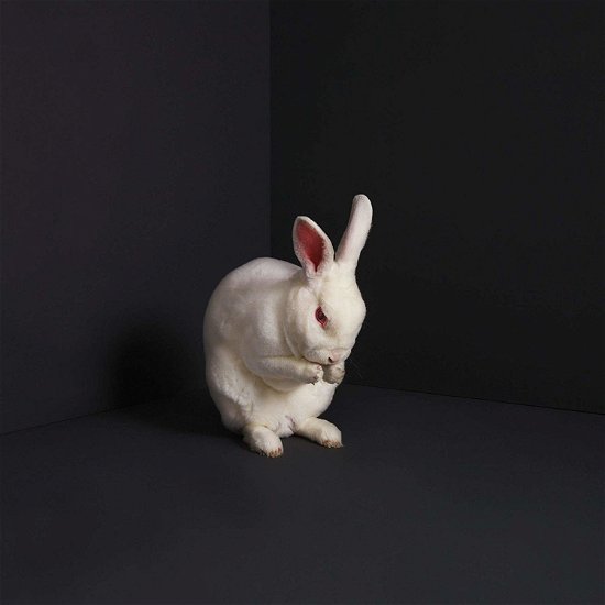 Cover for Brume · Rabbits (LP) (2019)