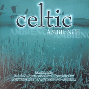 Cover for Celtic Ambience · Celtic Ambience-various (CD) (2000)