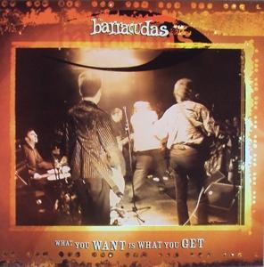 Cover for Barracudas · What You Want Is What You Get (LP) (2006)