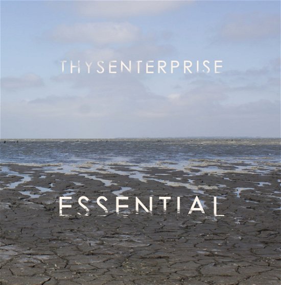 Cover for Thysenterprise · Essential (LP) (2023)