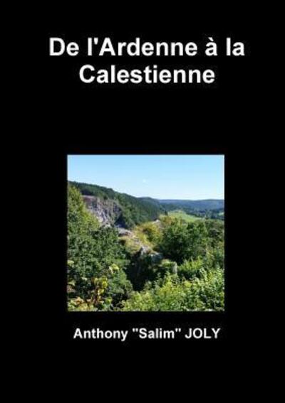 Cover for Anthony &quot;Salim&quot; JOLY · De l'Ardenne à la Calestienne (Paperback Book) (2018)