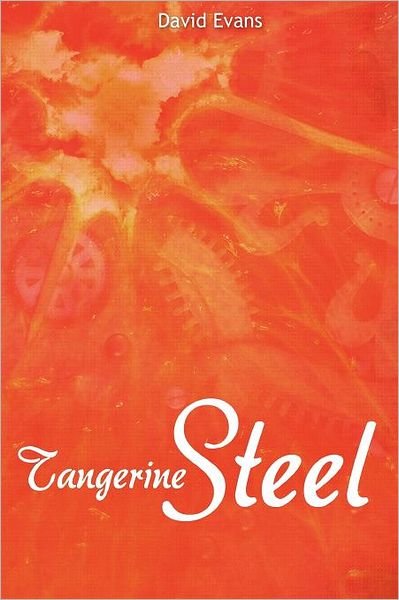 Cover for David Evans · Tangerine Steel: a Life Story (Paperback Book) (2011)