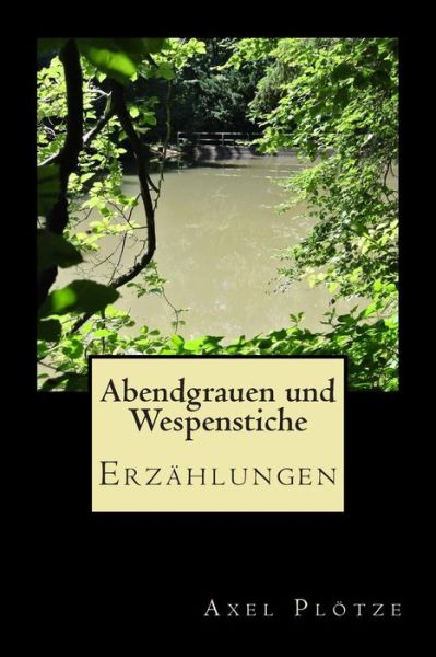 Cover for Axel Plotze · Abendgrauen Und Wespenstiche: Erzahlungen (Paperback Book) (2015)